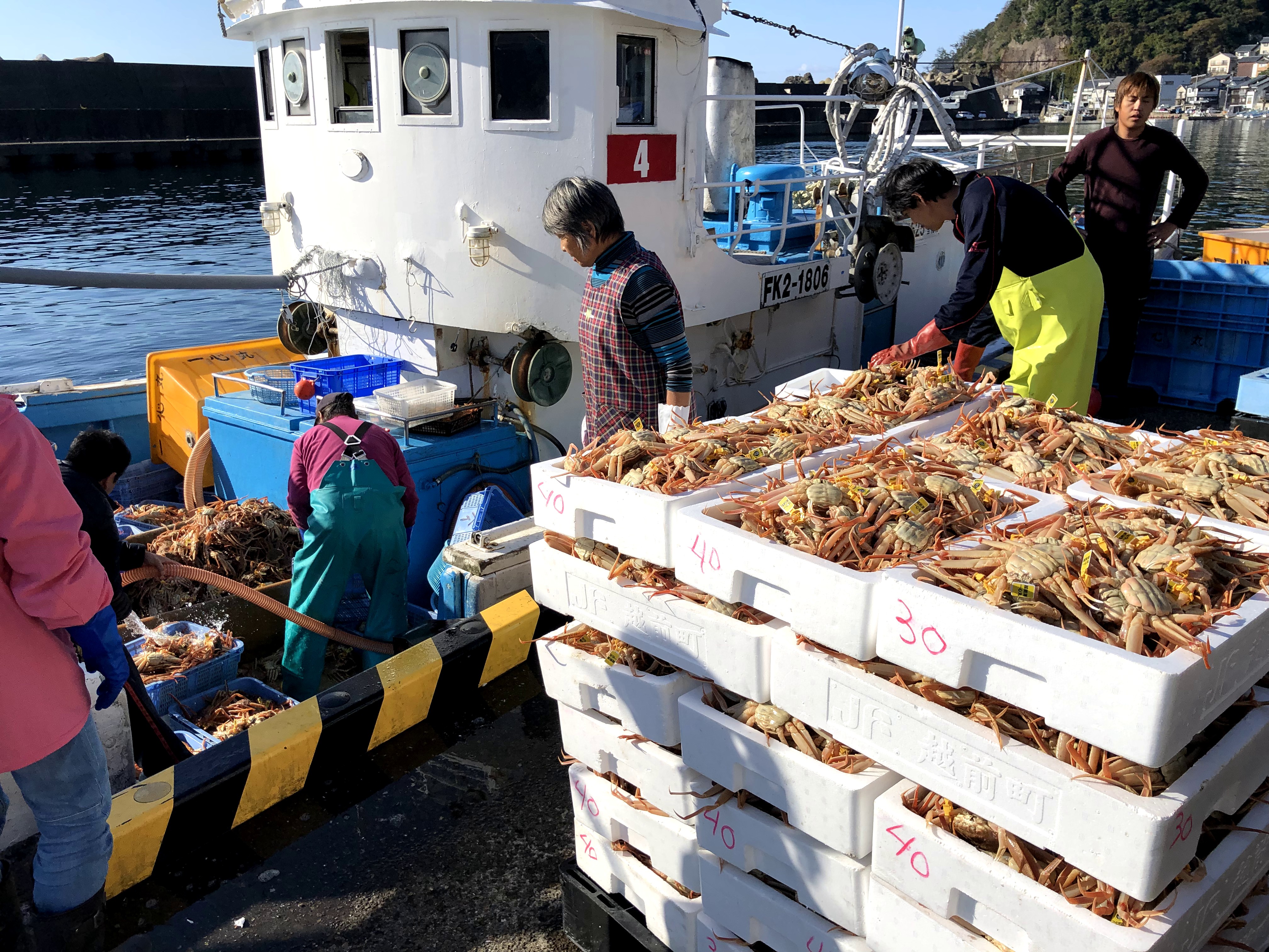 年 越前ガニの解禁日はいつ 越前がにの疑問にすべてお答えいたします 福井の越前宝や 越前たからや